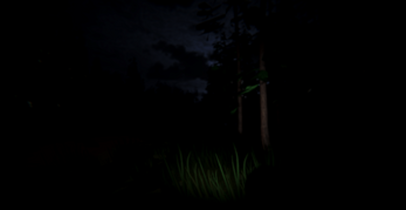 The Haunted Image