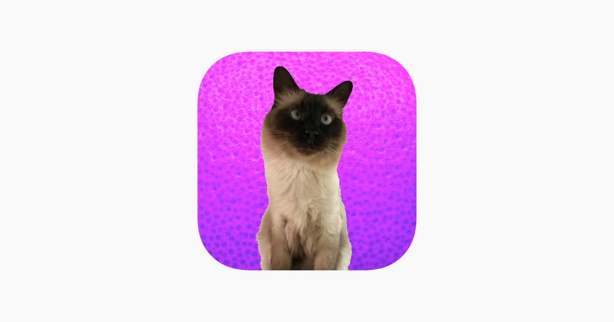 Games like Hidden Cats