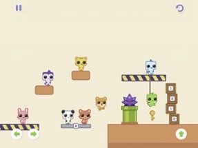 Online Cats – Multiplayer Park Image