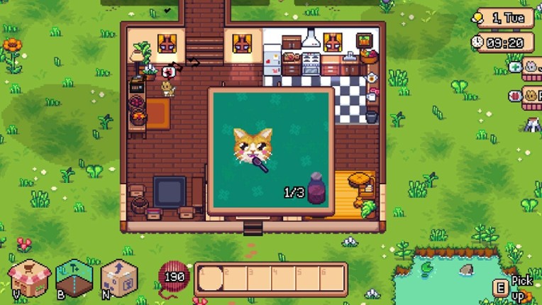BabushCats screenshot