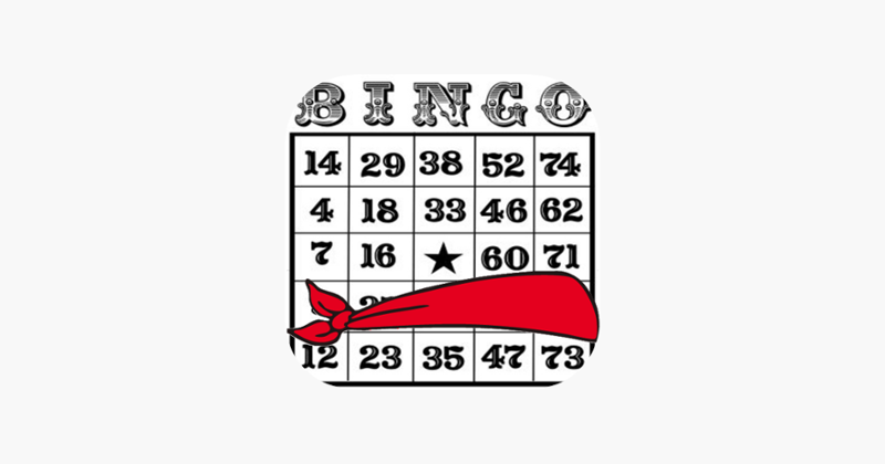 Blindfold Bingo Game Cover