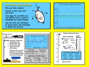 Bungee Egg Challenge Image