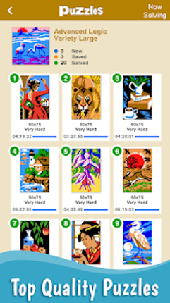 Sym-a-Pix: Nonogram Symmetry Image