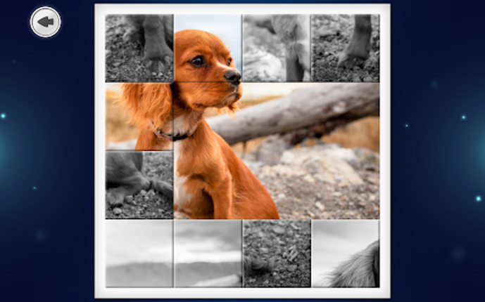 IMAGEine Premium screenshot
