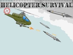 Helicopter Survivor Image