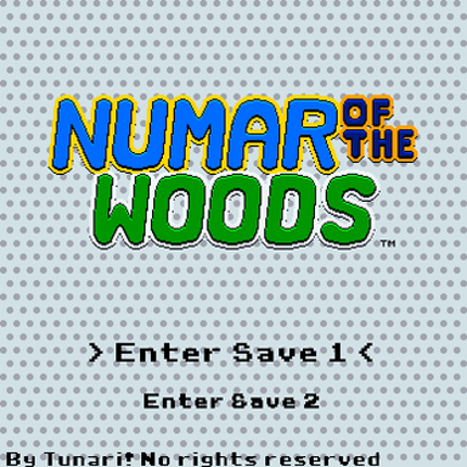 Numar of the Woods screenshot