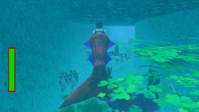 Swimming Adventure Relaunched Image