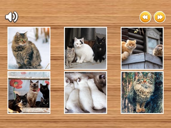 Cat Jigsaw Puzzles HD - Easy Jigsaw Puzzles Games for Kids Free Image