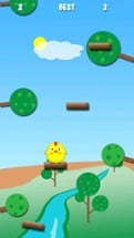 Clumsy Bird Jump - The Adventure Happy Bird Image