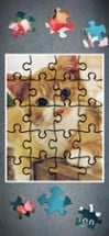 Jigsaw Puzzle Magic HD Image