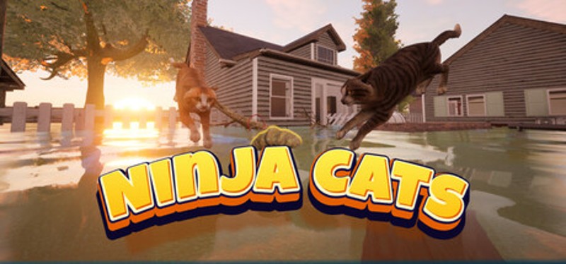 Ninja Cats Image