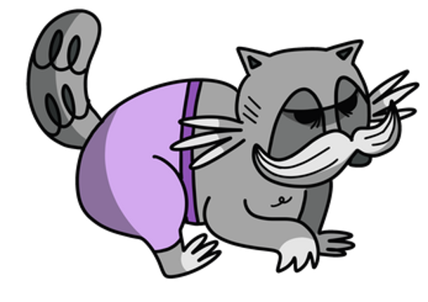 Trash Pandamonium Image