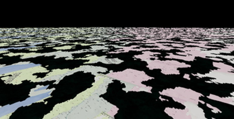 Capture The Flag Image