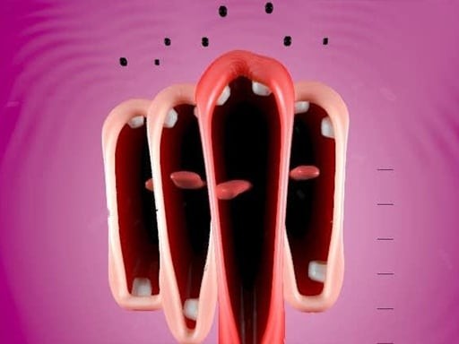 Games like Funny Chorus