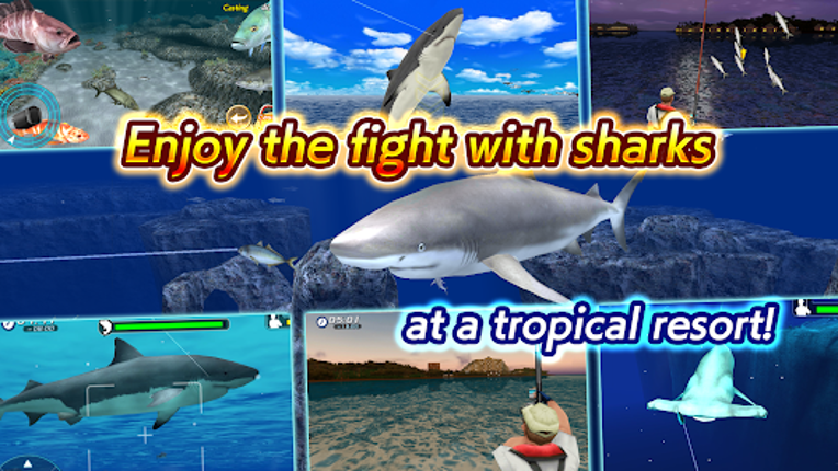 Wild Shark Fishing screenshot