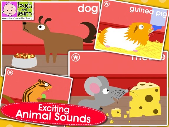 Peekaboo Pet Shop - Who's Hiding? - Animal Names & Sounds for Kids - FREE screenshot