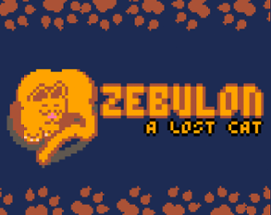 Zebulon: A Lost Cat Image