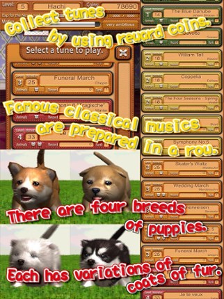 Animal Dance puppies screenshot