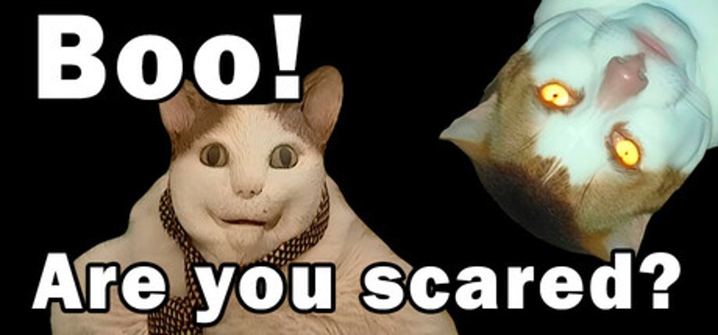 BOO! ARE YOU SCARED? Image