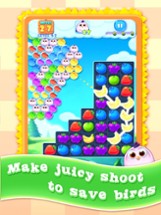 Bubble Splash Mania Image