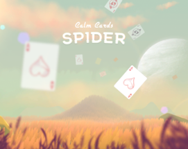 Calm Cards - Spider Image