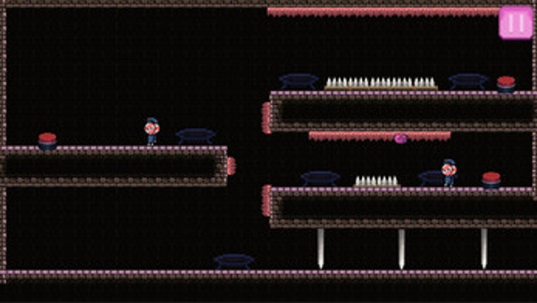 Elastic Escapades Image