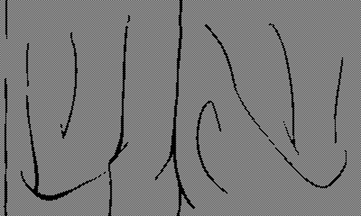 First in… Line? Image