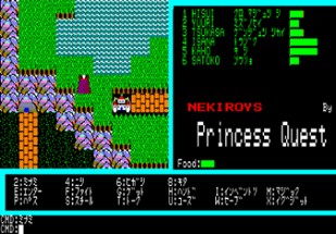 Princess Quest Image