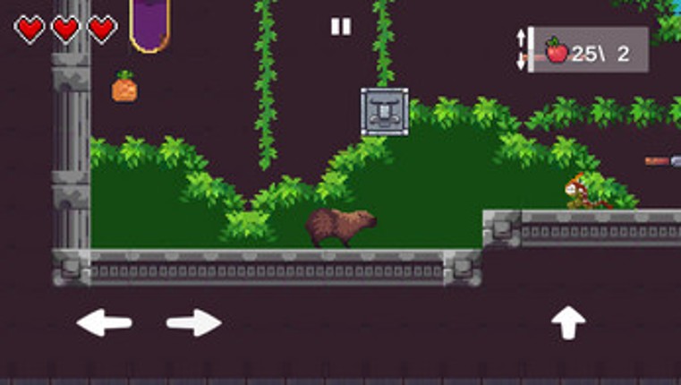 Capybara Run-Jump screenshot