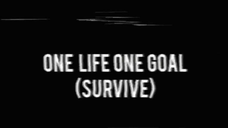 One Life One Goal screenshot