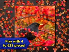 Jigsaw Puzzles Epic Image