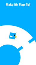 Mr Flap Image