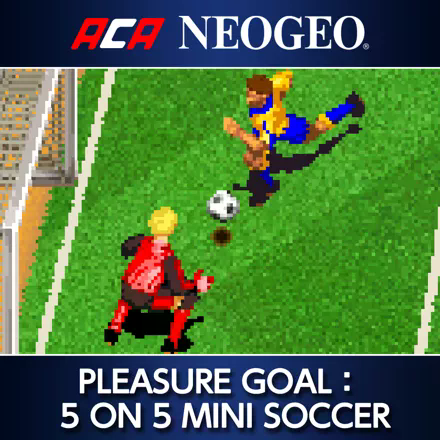 Games like Pleasure Goal - Futsal - 5 on 5 Mini Soccer