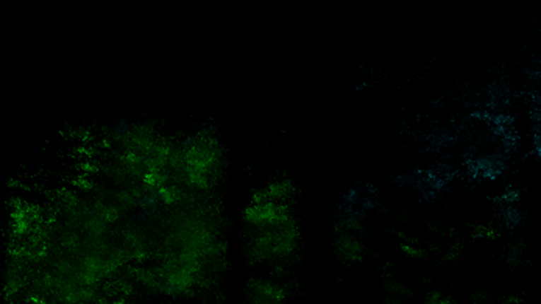 Rain Image