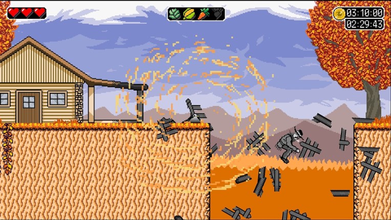 The Duck Amikaze Strikes Back screenshot