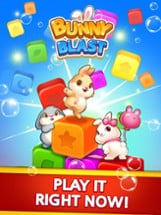 Bunny Blast - Puzzle Image