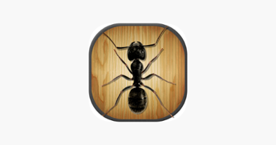 Kids Game: Tap Tap Ants Image