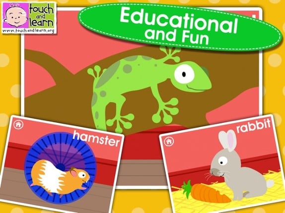 Peekaboo Pet Shop - Who's Hiding? - Animal Names & Sounds for Kids - FREE screenshot