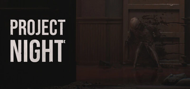 Project Night Image