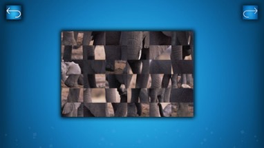 PUZZLE: ANIMALS Image