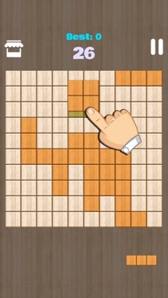 Wooden Block Classic Puzzle -Jigsaw Fit 1010 Image