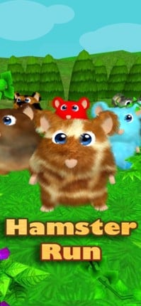 Hamster Run: 3D Dash Image