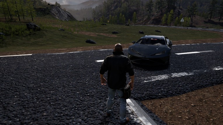 Nisukka Racing Simulation screenshot