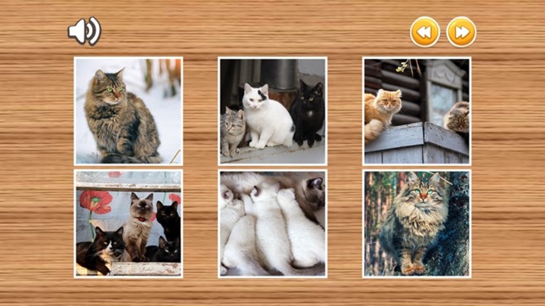 Cat Jigsaw Puzzles HD - Easy Jigsaw Puzzles Games for Kids Free screenshot
