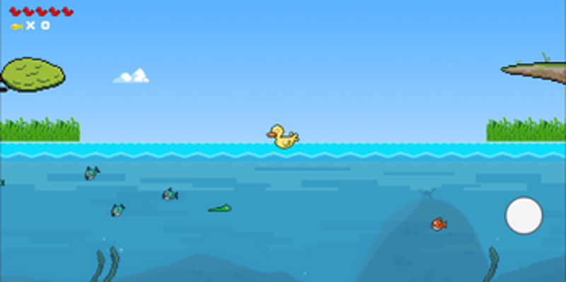 Little Duck Image