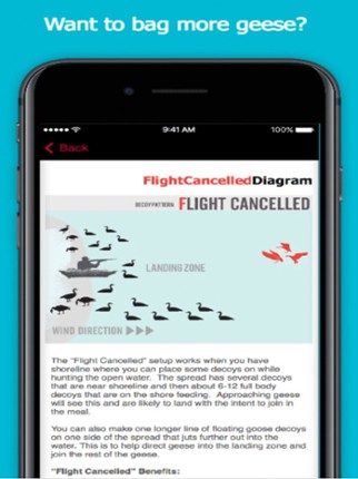 Goose Hunting Diagrams - DecoyPro Image