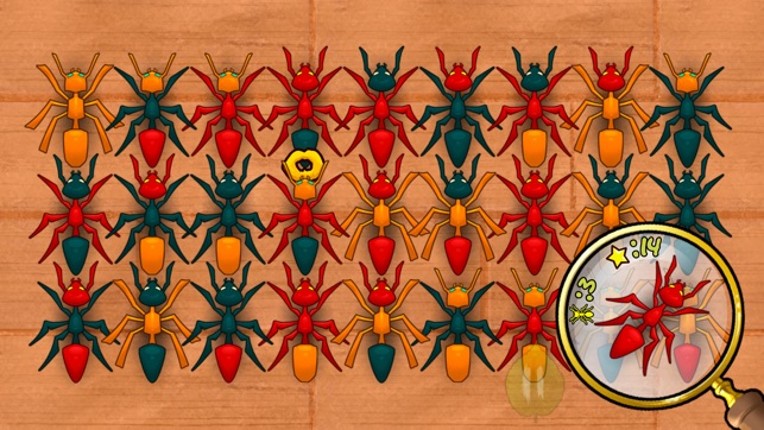 Ant Hunt Image