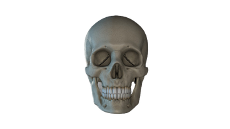 Frutin Game Image