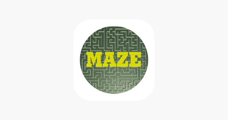 Maze-2D Image