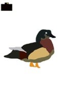 Wood Duck Simulator Image